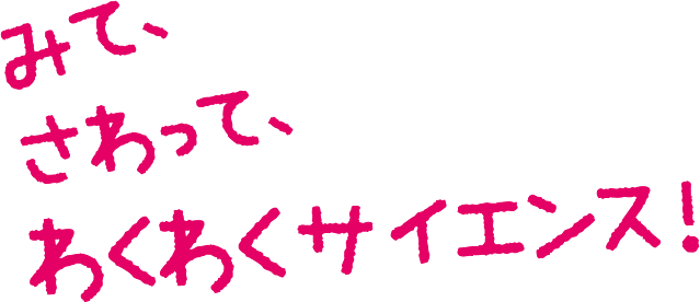 みてさわってわくわくサイエンス